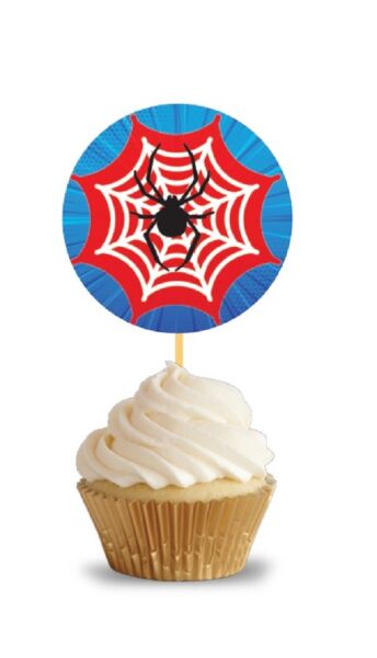Kürdan Spider 10'lu